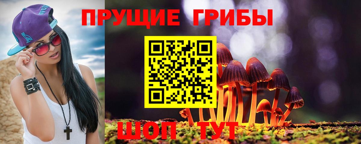 Псилоцибиновые грибы мицелий  Вход с VPN  наркошоп  Уссурийск 