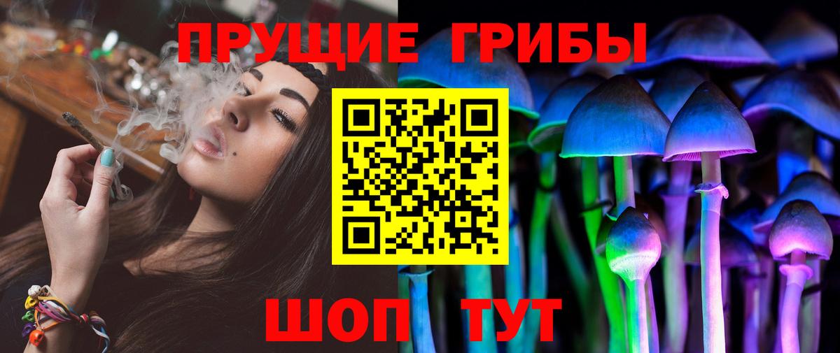 Галлюциногенные грибы Psilocybine cubensis Уссурийск